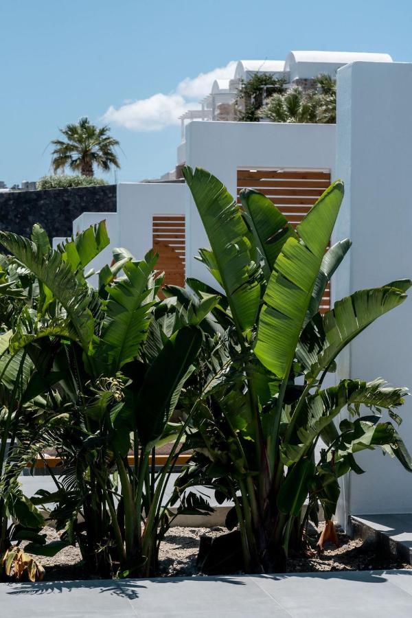 Villa Numa Santorini à Fira  Extérieur photo